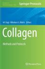 Collagen: Methods and Protocols (Methods in Molecular Biology #1944) By Irit Sagi (Editor), Nikolaos A. Afratis (Editor) Cover Image