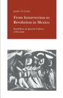 From Insurrection to Revolution in Mexico: Social Bases of Agrarian Violence, 1750-1940 By John Tutino Cover Image