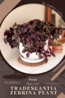 Tradescantia Zebrina Plant: Prodigy Petal, Plant Guide By Andrey Lalko Cover Image