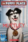 Muttley (Puppy Place #20) Cover Image