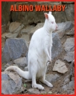 Albino Wallaby: Learn About Albino Wallaby and Enjoy Colorful Pictures By Mindy Alvarrao Cover Image