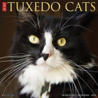 Just Tuxedo Cats 2023 Wall Calendar By Willow Creek Press Cover Image