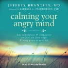Calming Your Angry Mind Lib/E: How Mindfulness and Compassion Can Free You from Anger and Bring Peace to Your Life Cover Image