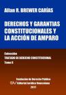 Derechos y garantías constitucionales y la acción de amparo. Tomo X. Colección Tratado de Derecho Constitucional Cover Image