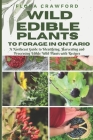 Wild Edible Plants to Forage in Ontario: A Northeast Guide to Identifying, Harvesting and Processing Edible Wild Plants with Recipes Cover Image