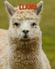 Llama: Amazing Facts about Llama By Devin Haines Cover Image