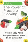 Using The Power Of Pressure Cooking: Stupid-Easy Paleo Recipes You Can Make In An Instant Pot: Paleo Diet Recipes Instant Pot Cover Image