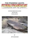 The Phoenix Lights- Petroglyphsinthesky (Landscapes for the Spirits): The True Stories, Myths, Legends & UFOs over Phoenix, Arizona Vol. 1 By Jeff Woolwine Cover Image