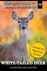 White-Tailed Deer: Graceful Mammals in the Wild Cover Image