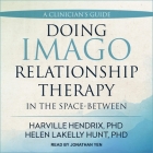 Doing Imago Relationship Therapy in the Space-Between: A Clinician's Guide Cover Image