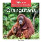 Orangutans (Rain Forest Animals) By Leo Statts Cover Image