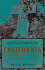 What Lies Beneath: California Pioneer Cemeteries and Graveyards By Gail L. Jenner Cover Image