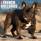 Just French Bulldogs 2025 12 X 12 Wall Calendar By Willow Creek Press Cover Image