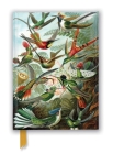 Ernst Haeckel: Hummingbirds (Foiled Journal) (Flame Tree Notebooks) By Flame Tree Studio (Created by) Cover Image