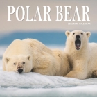 Polar Bear: 2021 Calendar Cover Image