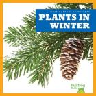 Plants in Winter (What Happens in Winter?) Cover Image