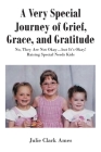 A Very Special Journey of Grief, Grace, and Gratitude: No, They Are Not Okay...but It's Okay! Raising Special Needs Kids By Julie Clark Ames Cover Image