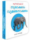 My First Book of Alphabet - Swaraksharam, Venjanaksharam: My First English - Malayalam Board Book By Wonder House Books Cover Image