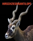 Hirschziegenantilope: Sagenhafte Fotos & Buch mit lustigem Wissen über Hirschziegenantilope für Kinder Cover Image