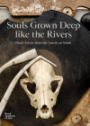 Souls Grown Deep Like the Rivers: Black Artists from the American South By Maxwell L. Anderson (Text by (Art/Photo Books)), Paul Goodwin (Text by (Art/Photo Books)), Raina Lampkins-Fielder (Text by (Art/Photo Books)) Cover Image