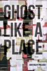 Ghost, Like a Place By Iain Haley Pollock Cover Image