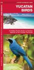 Yucatan Birds: A Folding Pocket Guide to Familiar Species of the Yucatan Peninsula (Pocket Naturalist Guide) By James Kavanagh, Waterford Press, Raymond Leung (Illustrator) Cover Image