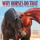 Why Horses Do That 2024 12 X 12 Wall Calendar Cover Image