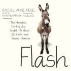 Flash: The Homeless Donkey Who Taught Me about Life, Faith, and Second Chances By Rachel Anne Ridge, Priscilla Shirer (Foreword by), Nan McNamara (Read by) Cover Image