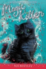 A Puzzle of Paws #12 (Magic Kitten #12) By Sue Bentley, Angela Swan (Illustrator) Cover Image