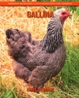 Gallina: Immagini incredibili e fatti divertenti per i bambini By Carolyn Drake Cover Image