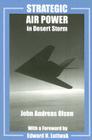 Strategic Air Power in Desert Storm (Studies in Air Power) By John Andreas Olsen Cover Image