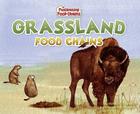 Grassland Food Chains (Fascinating Food Chains) By Marybeth Mataya, Hazel Adams (Illustrator) Cover Image