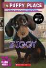 The Puppy Place #21: Ziggy By Ellen Miles Cover Image
