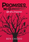 Promises, No Guarantees: Life of a Dreamer By Ben Chiodo Cover Image