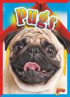 Pugs (Doggie Data) By Elizabeth Noll Cover Image