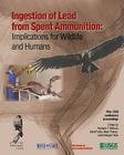 Ingestion of Lead from Spent Ammunition: : Implications for Wildlife and Humans By Mark Fuller, Mark Pokras, Grainger Hunt Cover Image