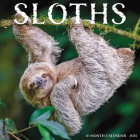 Sloths 2025 12 X 12 Wall Calendar By Willow Creek Press Cover Image