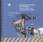 National Compensation Survey, Occupational Injuries and Illnesses Chartbook, 2005 (Labor Statistics Bureau Bulletin #2590) By Labor Statistics Bureau (U S ) (Compiled by) Cover Image