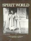 Spirit World: Pattern in the Expressive Folk Culture of New Orleans By Michael Smith Cover Image