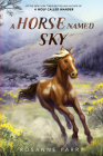 A Horse Named Sky (A Voice of the Wilderness Novel) By Rosanne Parry, Kirbi Fagan (Illustrator) Cover Image