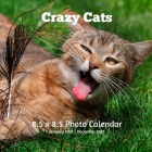Crazy Cats 8.5 X 8.5 Calendar January 2021 -December 2021: Cats Cover Monthly Calendar with U.S./UK/ Canadian/Christian/Jewish/Muslim Holidays -Weird By Lynne Book Press Cover Image