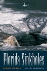 Florida Sinkholes: Science and Policy Cover Image