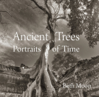 Ancient Trees: Portraits of Time Cover Image