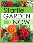 Startle Garden Now Cover Image