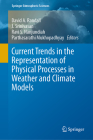 Current Trends in the Representation of Physical Processes in Weather and Climate Models (Springer Atmospheric Sciences) By David a. Randall (Editor), J. Srinivasan (Editor), Ravi S. Nanjundiah (Editor) Cover Image