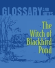 Glossary and Notes: The Witch of Blackbird Pond By Heron Books (Created by) Cover Image