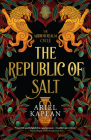 The Republic of Salt (The Mirror Realm Cycle #2) By Ariel Kaplan Cover Image