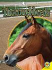 Thoroughbreds (All about Horses) By Pamela Dell Cover Image