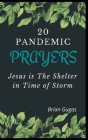 20 Pandemic Prayers: Jesus is The Shelter in Time of Storm By Brian Gugas Cover Image