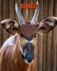 Bongo: Libro para niños con imágenes hermosas y datos interesantes sobre los Bongo Cover Image